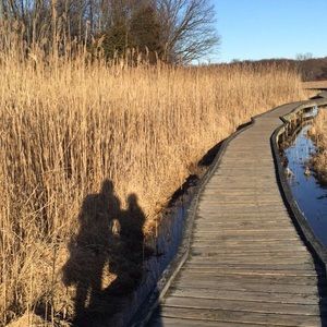 Meet your Posher, Carolyn